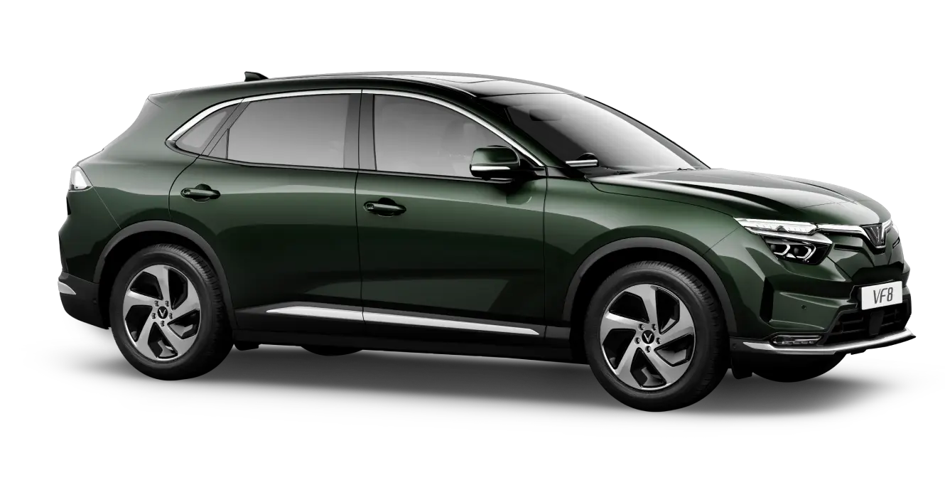 Màu sắc : Ivy Green