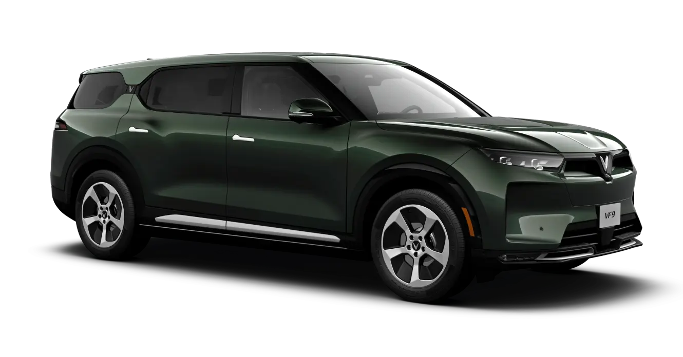 Màu sắc : Ivy Green