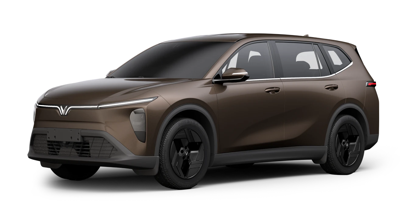 Màu sắc : Introspective Brown